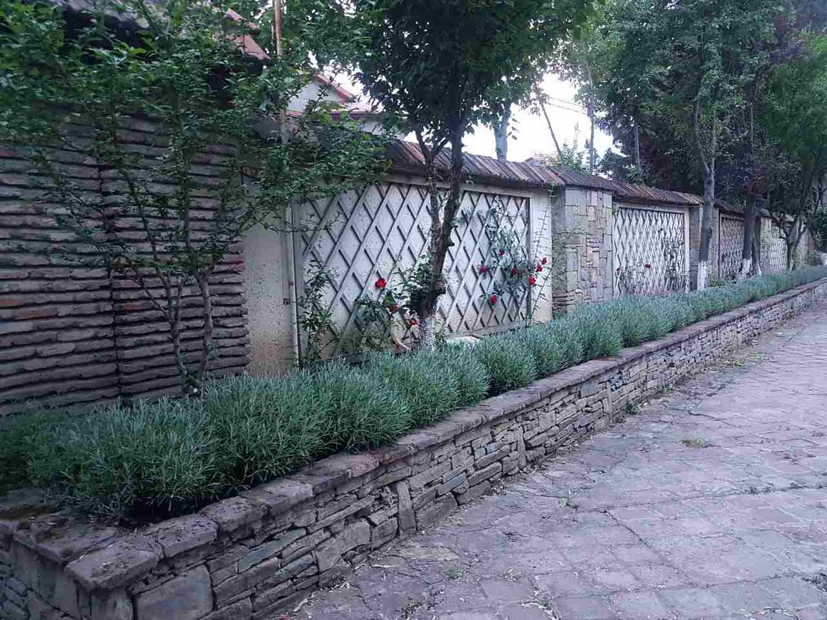 Rare House With Garden Villa Tbilisi Exterior foto