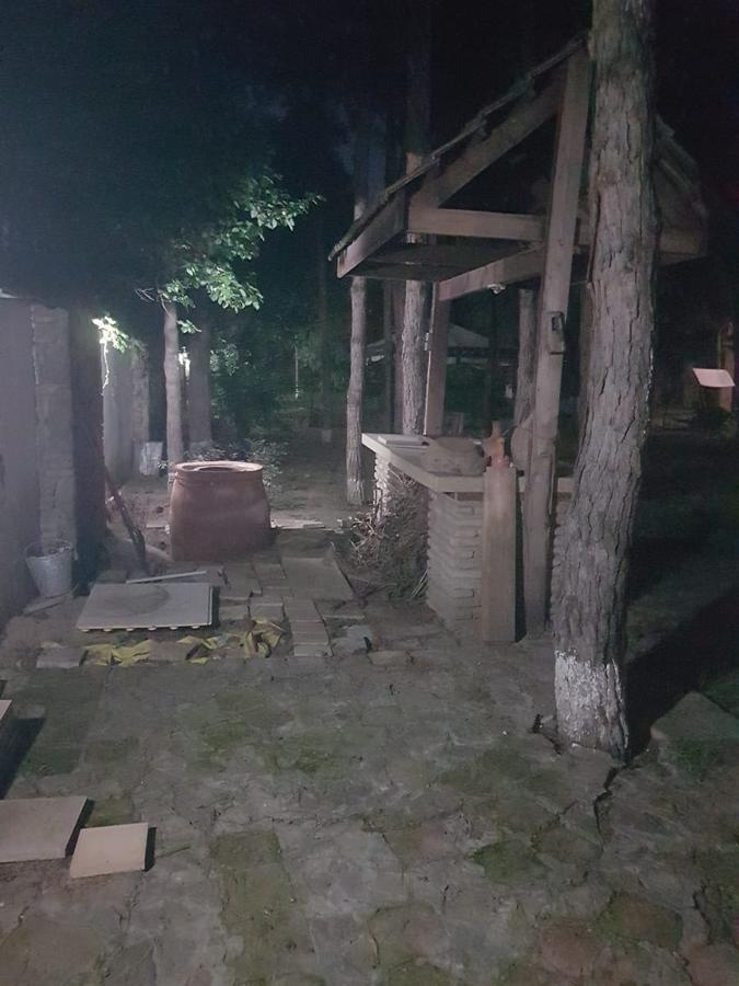 Rare House With Garden Villa Tbilisi Exterior foto