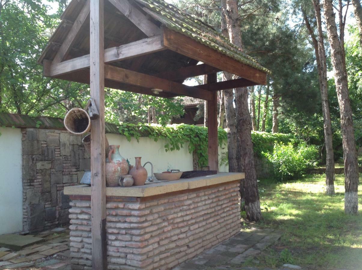 Rare House With Garden Villa Tbilisi Exterior foto